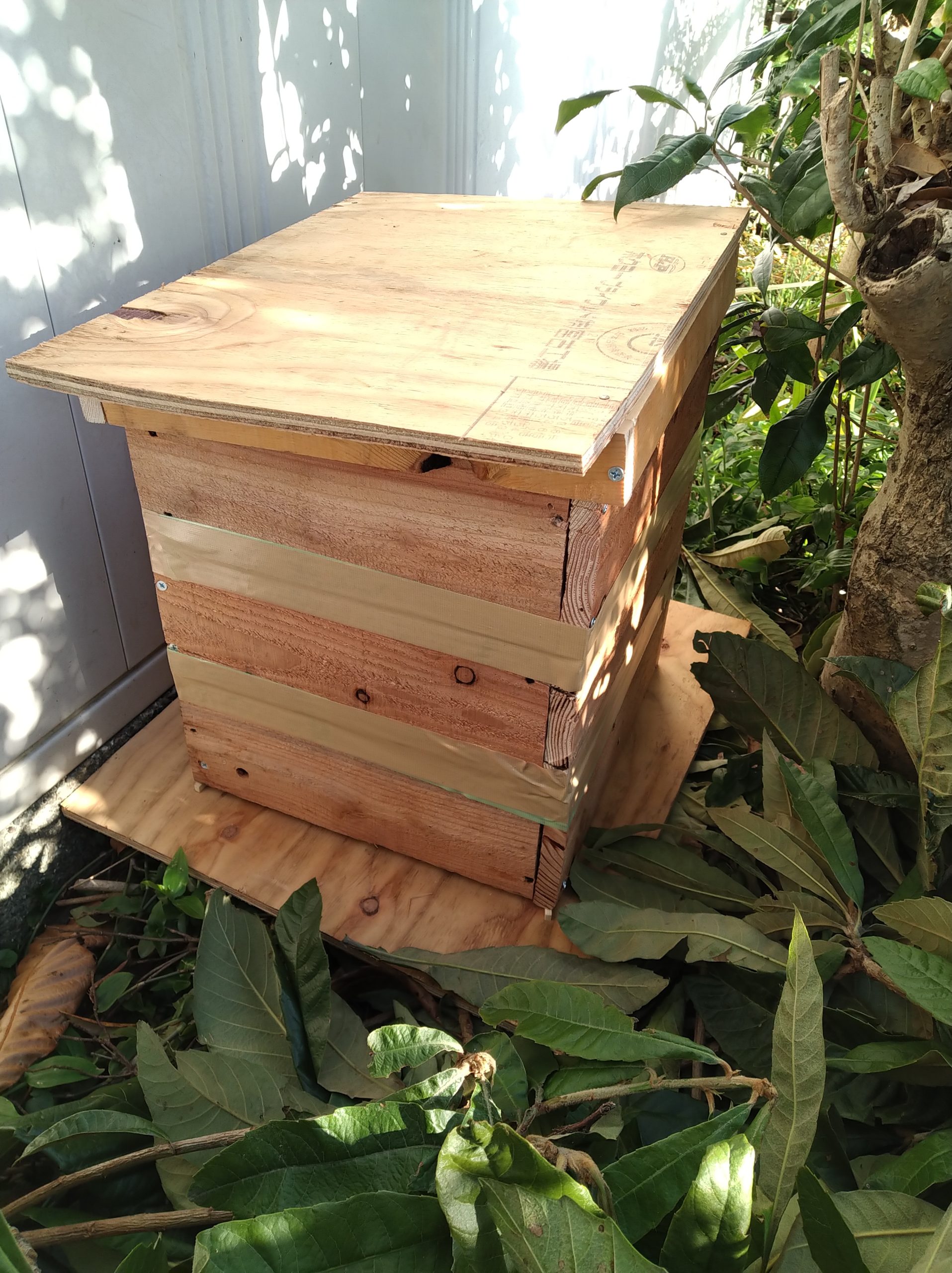 熟練大工作製、柾目板使用で重箱の節抜けの心配なし、日本蜜蜂３段重箱