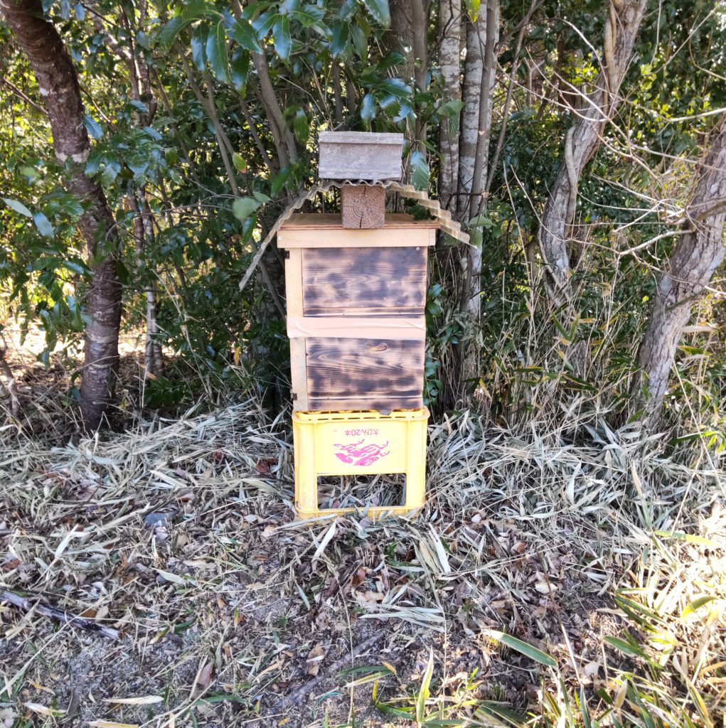 公式サイト無料 蜜蜂 巣箱ミツバチ 巣箱養蜂箱ミツバチ巣箱 杉材 蜂蜜蜂の巣箱 ミツバチの巣箱 蜂蜜キーパー 10フレームパーティション巣箱 蜂  その他ガーデニング、園芸用品